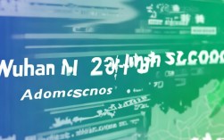 武汉二十中2025年录取分数线是多少？