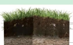 哪个土层较宜做天然土层