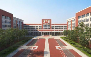 灵璧中学的教育质量和校园环境究竟如何？