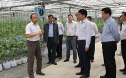 南农社工属于哪个学院？