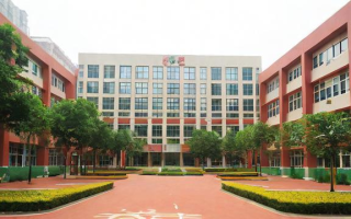 成都外国语小学的教学质量和校园环境如何？