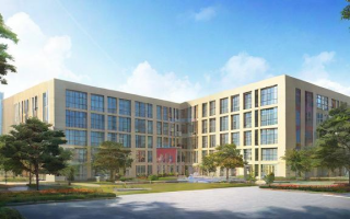 深圳建文中学的教学质量和学校环境究竟如何？