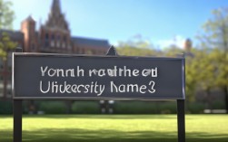 杨奕琦现就读于哪所大学？2025年最新校址曝光！