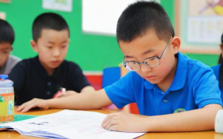 天才教育效果如何？真实评价与体验分享