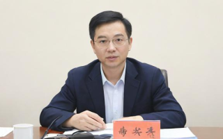 齐嘉明如何探索教育领域？