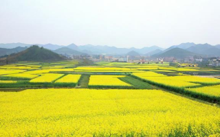 宿州祁县怎么样（宿州祁县怎么样好玩吗）