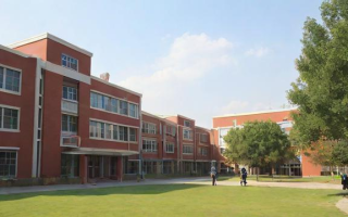 江岸区新村小学教学质量如何？周边入学条件解析
