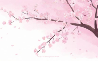 四月在英语中该如何正确发音？