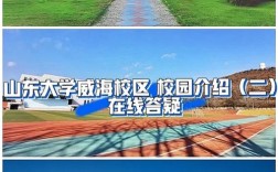 山大国贸专业隶属哪个学院？