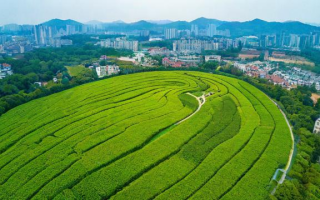 江西省的绿化环境怎么样