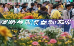 广州春招深职2024年录取分数线是多少？