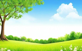 如何制作一份优秀的小学环境描写PPT？