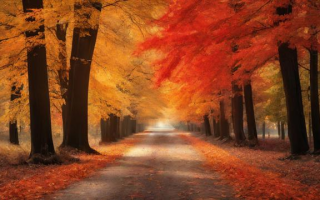 How to Pronounce October in English?