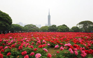 杭州花都，如何在繁华都市中感受自然诗篇？