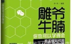 雕爷牛腩如何用互联网思维革新传统餐饮？