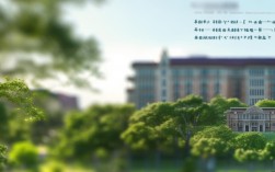 2025织金育才高中录取分数线是多少？