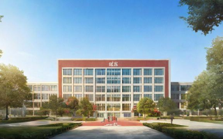 如何评价36中学的教育质量和学校环境？