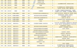 武大表演专业录取分数线是多少？