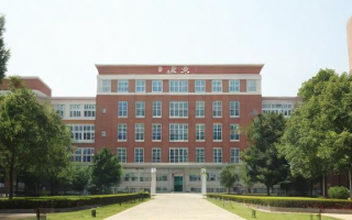 成考分数怎么查