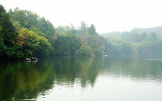 石室北湖校区教学质量如何？环境与口碑全面解析