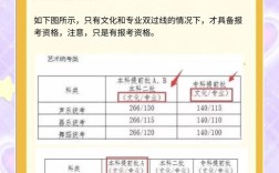 编导艺考录取多少人？