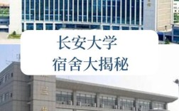 长安大学新生校区怎么分？