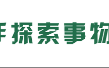 思维为何总追不上？