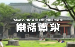 我国的一本录取率为多少