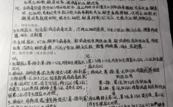 思维训练实训报告