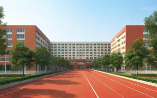蔡河中学的教学质量和校园环境究竟如何？