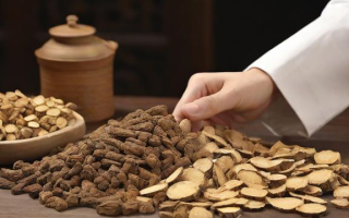 研究生中药学专业