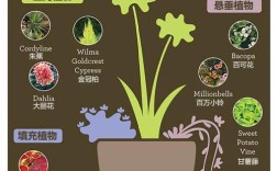 植物学vs园艺，选哪个更值得深耕？