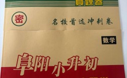 阜阳小升初录取分数线是多少？