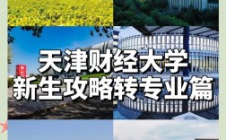 天津财经和吉大选哪个更合适？