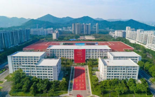 宜山今年的高考表现如何？