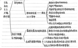 政治的思维导图
