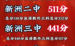 广西新洲中学今年录取多少新生？