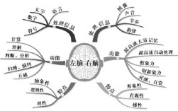 思维、记忆与感知如何交织塑造我们的认知？