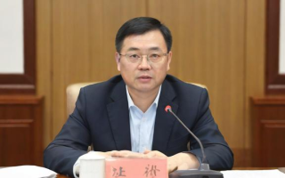 沈沛龙是如何成为一名研究生的？