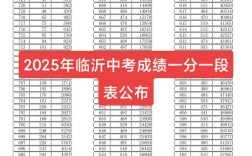 临沂市中考录取总分多少