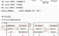 思维导图大脑说明书，如何高效使用大脑？
