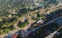 成都新增本土7 12，成都新增本土确诊病例2例