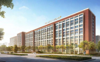 武汉实验初中教学质量如何？口碑与升学率全面解析