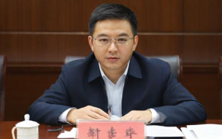 实战中考语文怎么样，如何有效应对中考语文考试？