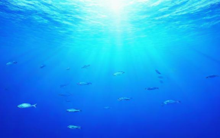 39海洋班怎么样，39海洋班究竟怎么样？