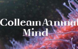思维思胶原蛋白