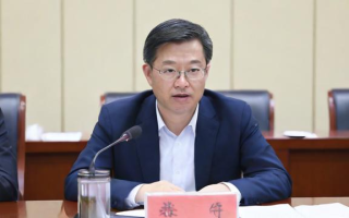 如何查询考试成绩？