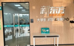 新东方与高校，选哪个更值得？