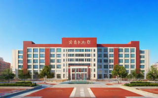 青岛17中学的教学质量和校园环境如何？