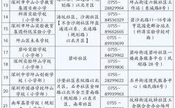 坪山小升初录取积分多少？